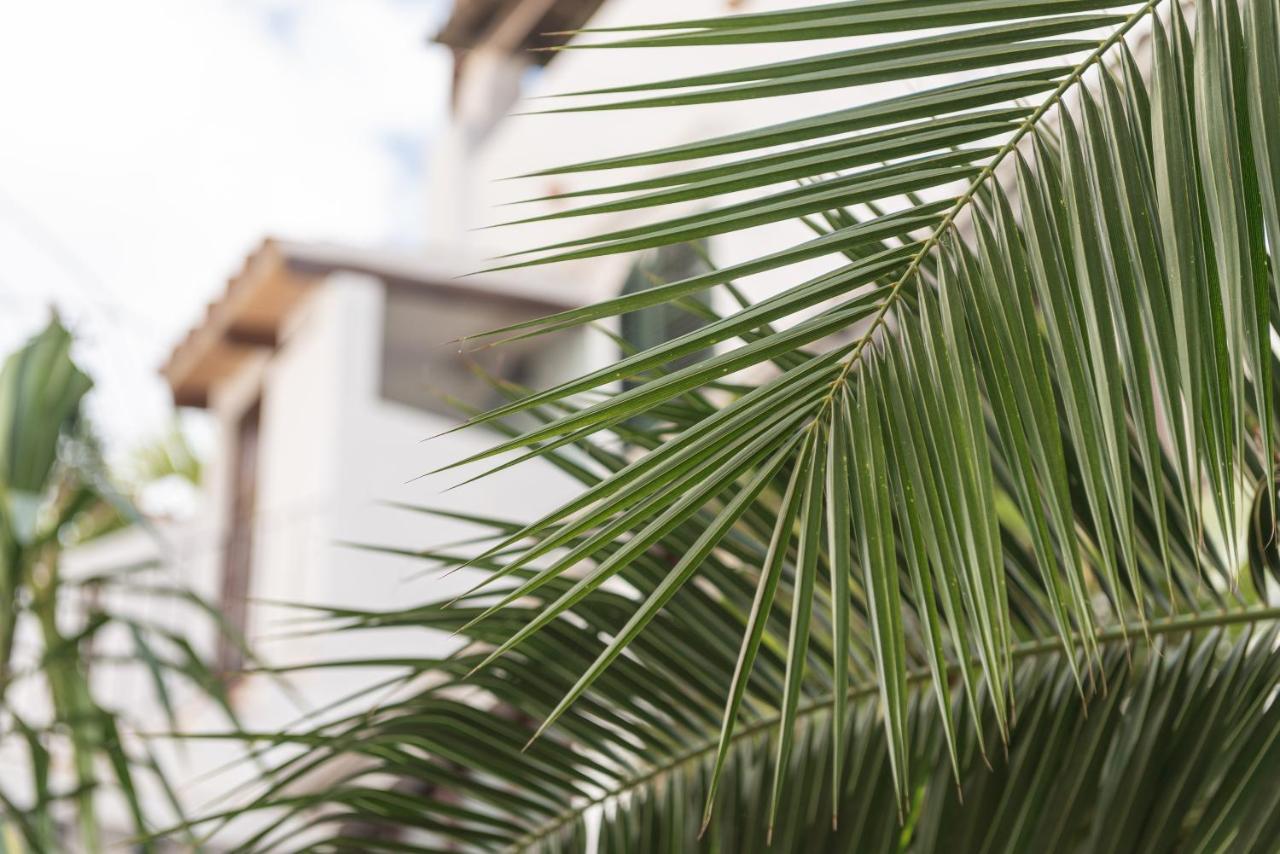 Hostal Pons Palma de Mallorca Eksteriør billede