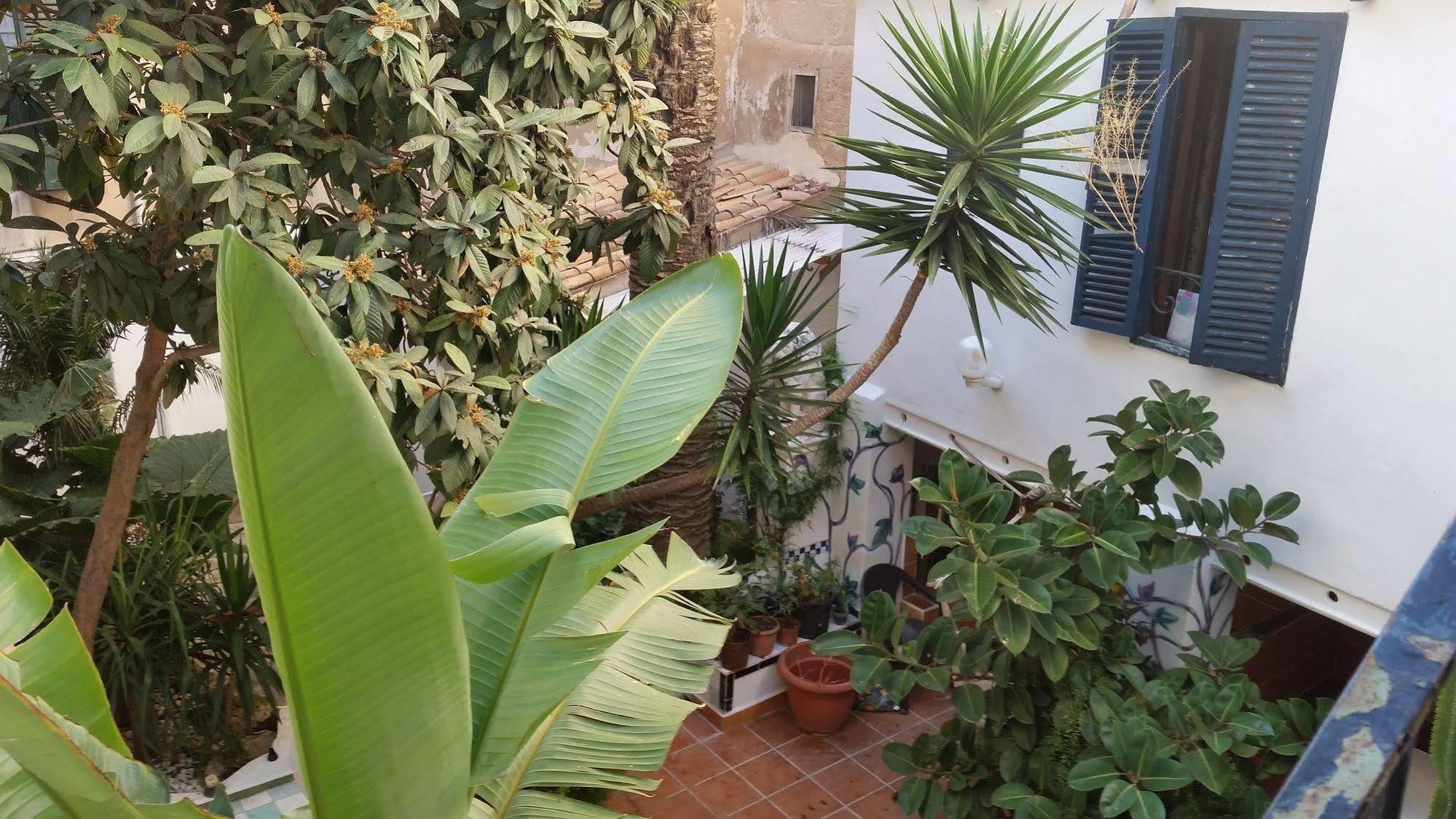 Hostal Pons Palma de Mallorca Eksteriør billede